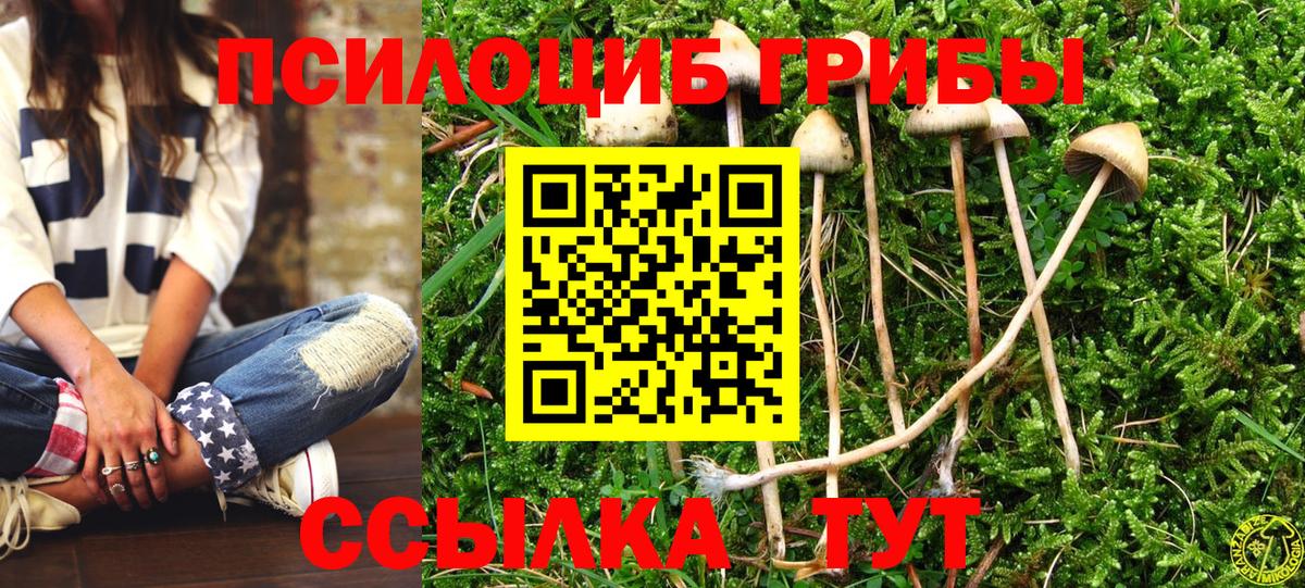 Кумертау  Псилоцибиновые грибы прущие грибы  Вход с VPN 